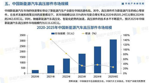 2025年中國新能源汽車高壓部件行業(yè)市場(chǎng)深度調(diào)查及投資前景預(yù)測(cè)報(bào)告